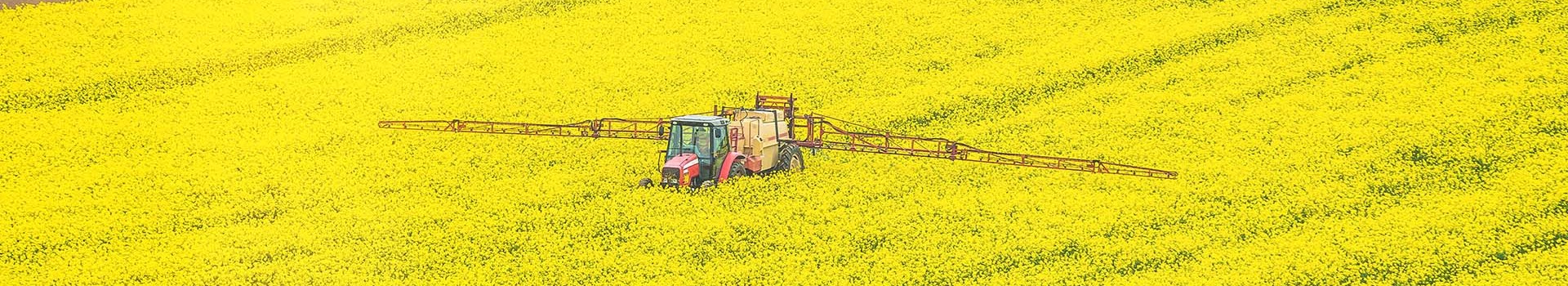 The Genetic Technology (Precision Breeding) Bill gains Royal Assent – a step closer to boosting Crop Production Efforts Header Image